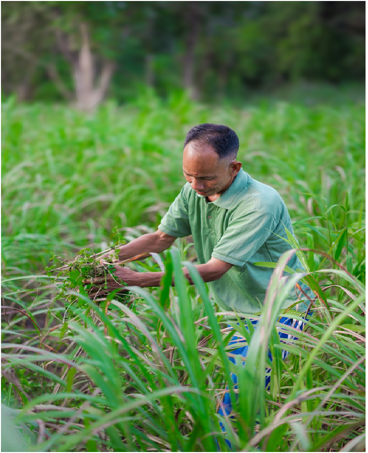 Reclaiming Agrenggittim: A Community-Driven Revival of Degraded Land